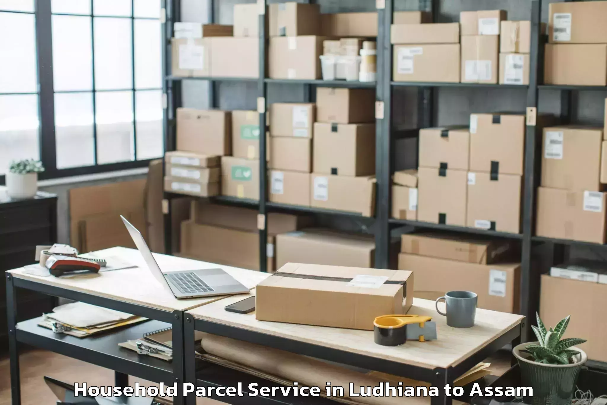 Easy Ludhiana to Silapathar Household Parcel Booking